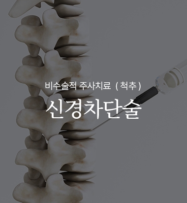 신경차단술